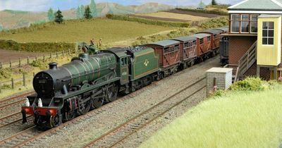 Perth model railway show back on track after two-year hiatus