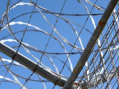 NZ man freed after 19 years in jail