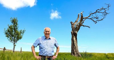 New 'Rihanna tree' takes root at site of infamous video shoot in Bangor barley field