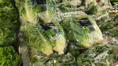 The Loop: High Court rules on citizenship, banks pass on rates rise, and why lettuce is so pricey