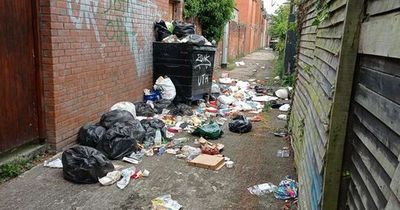 Holylands resident calls for more bin collections as 'too many people living in the area'