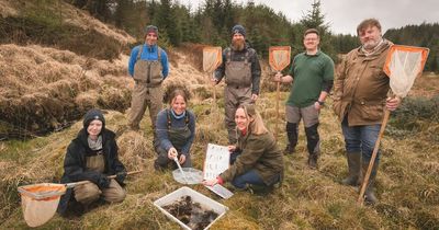 Galloway Fisheries Trust on the lookout for a new intern