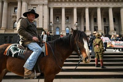 Daniel Andrews defends plan to cull feral horses as protesters rally outside state parliament
