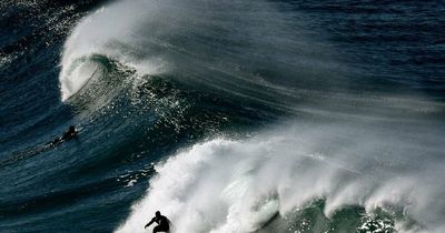 Winter waves bring 'solid surf conditions'