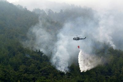 Lebanon pine forest blaze begins wildfire season