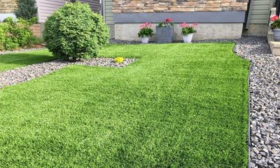 Adverts claiming plastic grass is eco-friendly are not allowed, says ASA