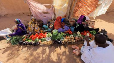 Sudanese Farmers Warn of Failing Harvests as Hunger Rises