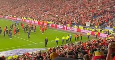 Woman injured by man who jumped on top of her during Wales' World Cup playoff victory