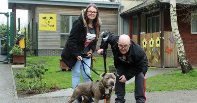 'Perfect' dog left tied to gate gets new home after owners spot him in ECHO