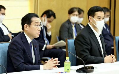 Cabinet OK's new form of capitalism initiatives