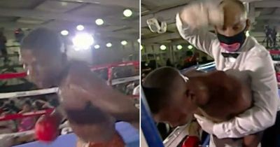 Boxer who punched invisible opponent dies after suffering brain injury