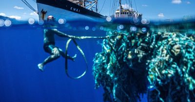 World's biggest ocean garbage patch is 3 times the size of France - but can't be seen