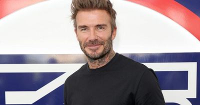 David Beckham poses with lookalike daughter Harper on adorable woodland adventure