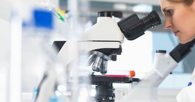 Cancer vanishes in every patient during experimental drug trial