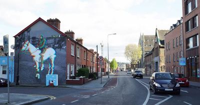 Dublin street art group giving behind the scenes glimpse into Council battle