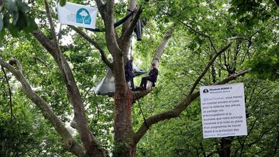 Eiffel Tower trees 'saved' but arborist carries on hunger strike