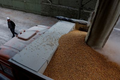 Ukraine's grain crop at risk as silos still half full due to stalled exports