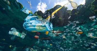 World Ocean Day - 5 of the worst threats to the oceans from plastic to noise