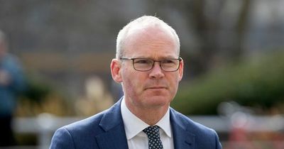 Police make two arrests in connection with security alert at event hosted by Simon Coveney