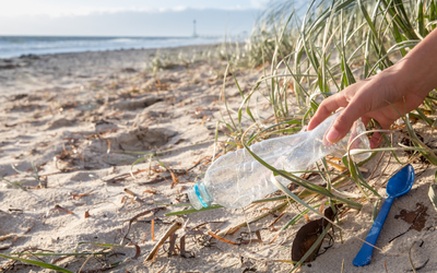 Scientists ‘surprised and excited’ to find plastic litter at Australian beaches fell by 29 per cent