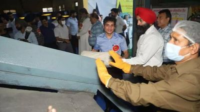 Ludhiana: 396 kg cannabis incinerated by DRI under drug destruction day