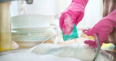 Scientist explains why you should never do the washing up with a sponge