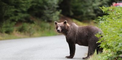 Conservation science still rests on how animals can benefit humans
