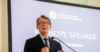 Levelling Up 'thin on new ideas and very short of money' says Lord Mandelson