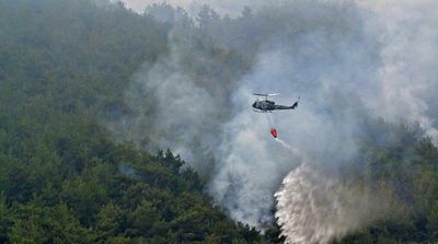 Lebanon Pine Forest Blaze Begins Wildfire Season