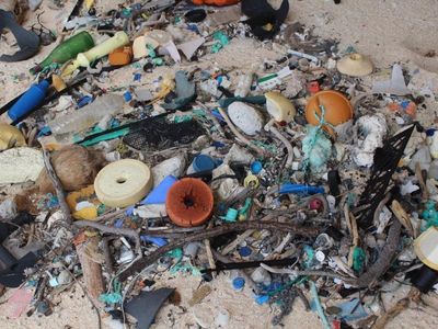 Plastic on Aussie beaches down by a third