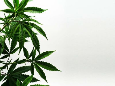 Independent Community Bankers of America And State Affiliates Call On Congress To Pass Cannabis Banking Reform