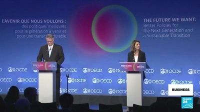 OECD details 'hefty price' of Ukraine war on global economy
