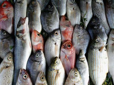 Eating two portions of fish per week ‘linked to malignant melanoma’