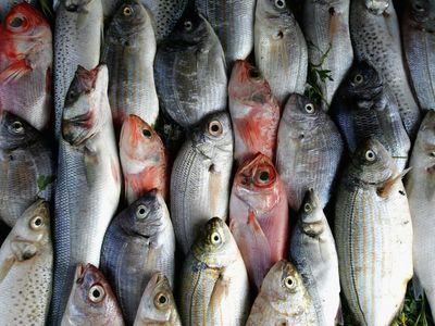 Eating two portions of fish per week linked to increased risk of skin cancer