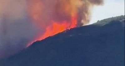 Emergency declared as huge wildfire near Marbella causes hotel evacuations