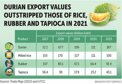 Outlook for durian exports remains bright