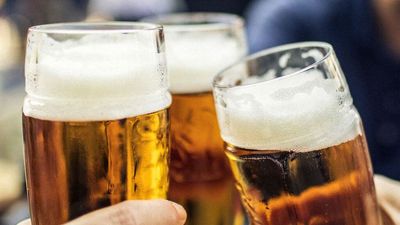 Study: Alcoholism relapse may driven by release of immune protein in brain