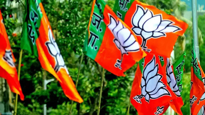 Uttar Pradesh: BJP fields seven ministers in polls