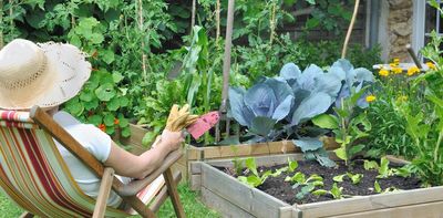 Fennel looking a bit feeble? Growing enough veggies to feed yourself depends on these 3 things