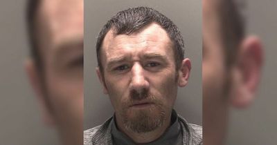 Burglar's campaign of terror forced shop owner to move