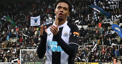Joelinton's rise to stardom gives Newcastle United £15m man hope