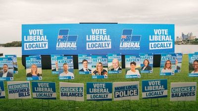 WA Liberals report finds widespread branch stacking and manipulation of preselections