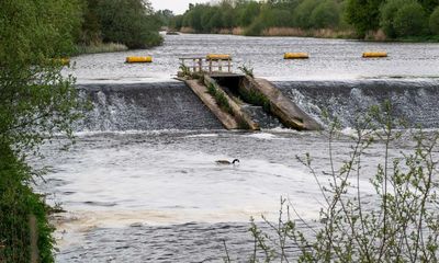 Activists take water regulator to court over sewage in English and Welsh rivers