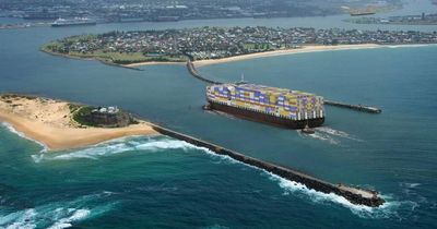 Hunter united: Region's MPs combine to support Newcastle container terminal