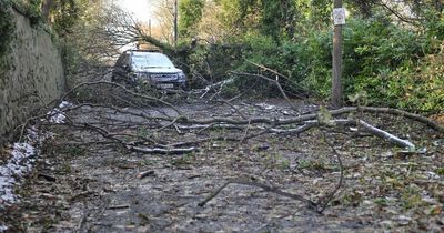 Storm Arwen power company response "unacceptable" and could have breached licence, report says