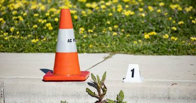 Boy accused of skatepark murder granted bail after acquittal