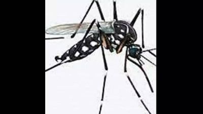 70% of kala azar cases, 20 deaths in Bihar last year