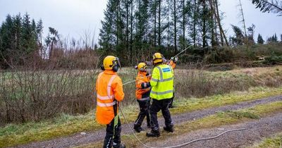 Storm Arwen response by energy firms 'unacceptable' after thousands left without power