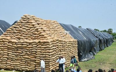 Hike in MSP of paddy not sufficient, claims Ramadoss