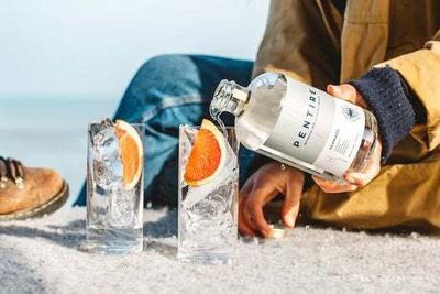 Best non-alcoholic gins to try for a tasty booze-free tipple